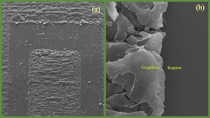Fig. 9. SEM images of the transferred graphene on Kapton tapes.